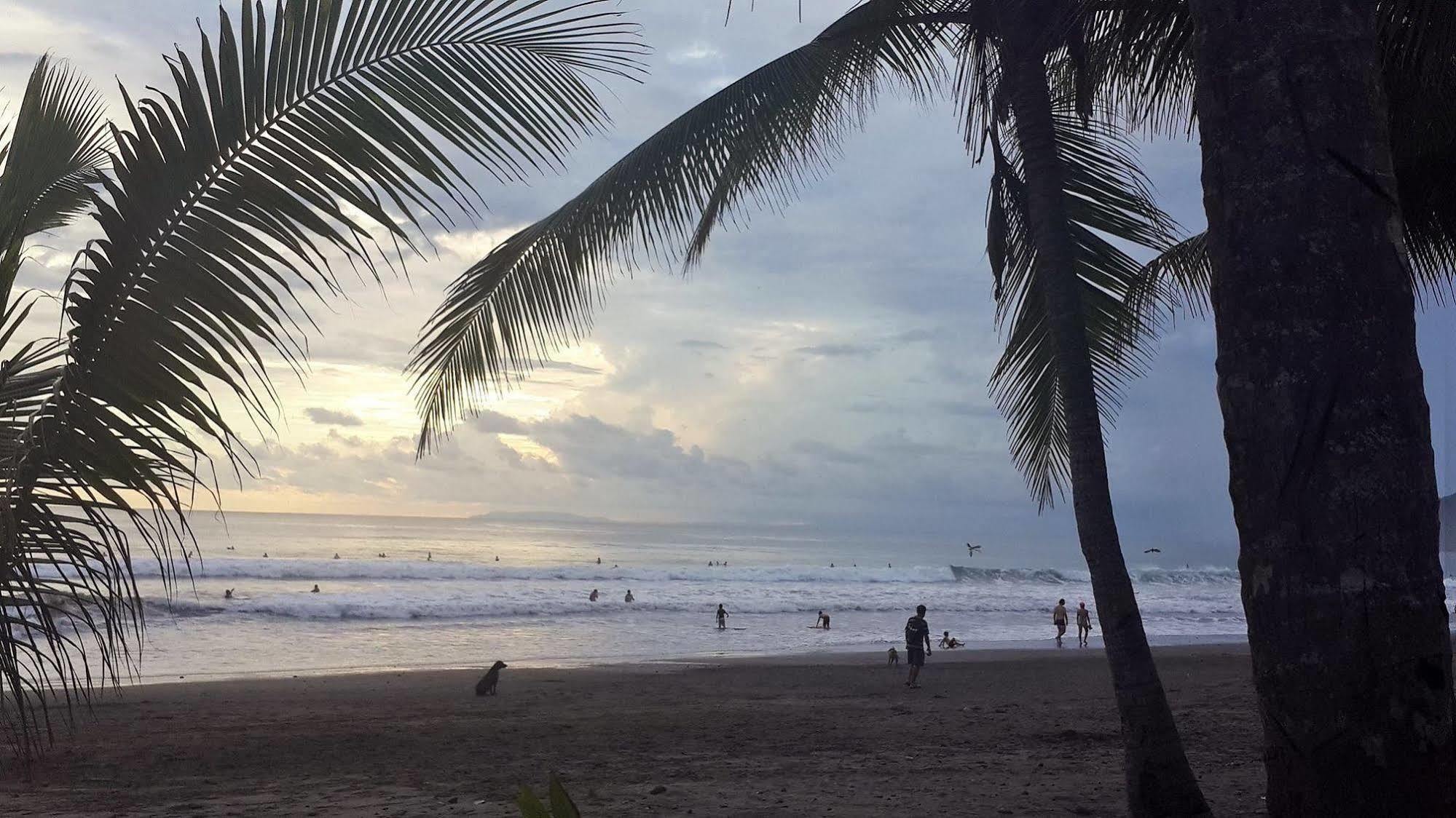 Hotel South Beach - Beachfront 자코 외부 사진